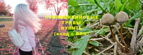 крисы Нея
