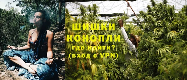 крисы Нея
