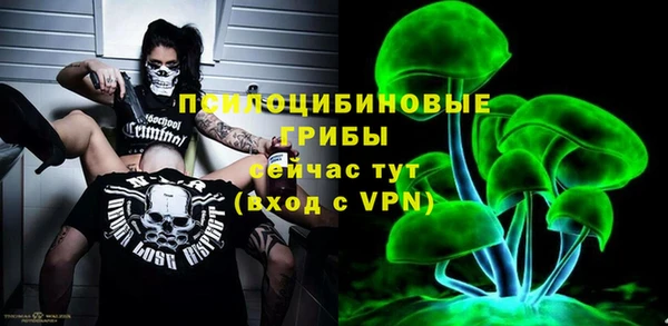 крисы Нея