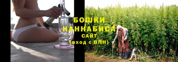 крисы Нея