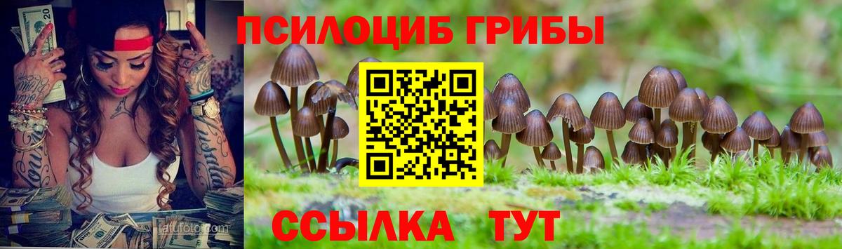 Галлюциногенные грибы прущие грибы  Вход с VPN  Сорочинск 